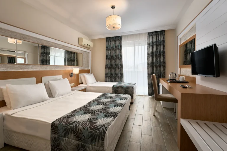 standard land view 2